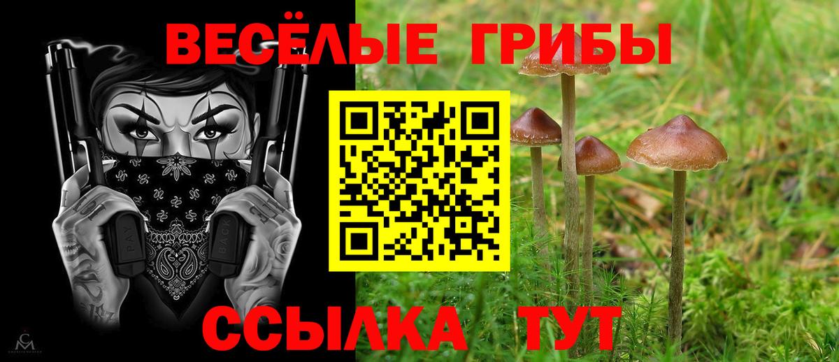 Псилоцибиновые грибы мухоморы Набережные Челны