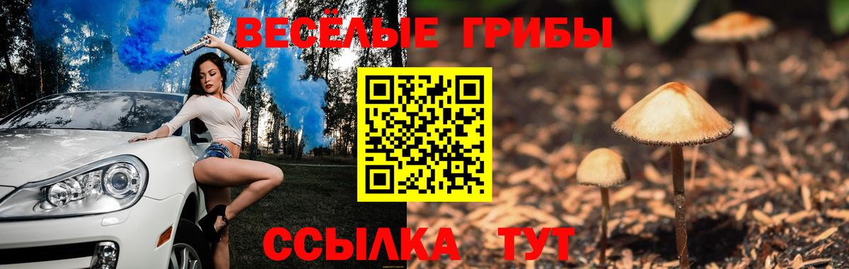 Псилоцибиновые грибы MAGIC MUSHROOMS  Псилоцибиновые грибы MAGIC MUSHROOMS  Вход с VPN  купить наркотик  Набережные Челны 